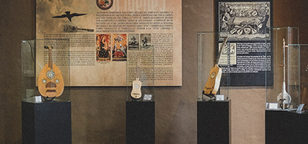 Stringed instruments in display cabinets
