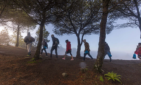 Several people walking in a group in the forest