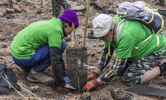 Two volunteers collaborating in the reforestation