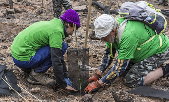 Deux volontaires collaborant à la reforestation