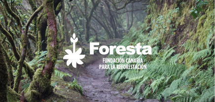 Logo Foresta. Restoring the islands´ landscape