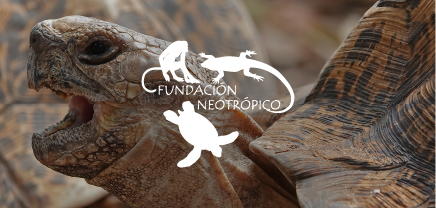 Logotipo de Fundación Neotrópico