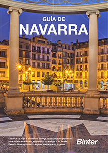 Cover image of the Guide to Navarra